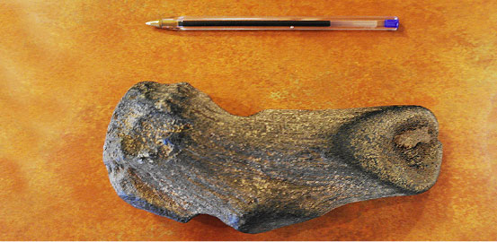 Meisje vindt prehistorische bijl op Texel Meisje vindt prehistorische bijl op Texel