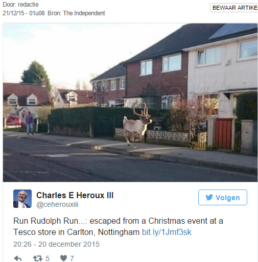 Britse buurt opgeschrikt door rendier in aanloop naar Kerst