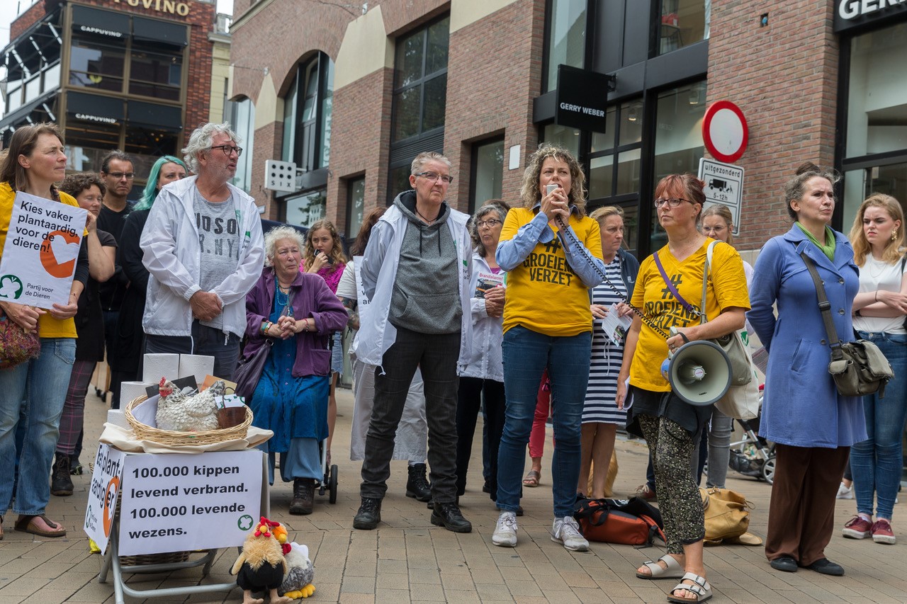 herdenking omgekomen kippen