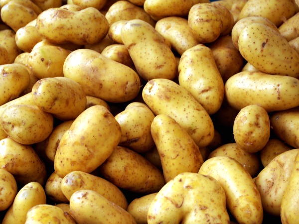 Foto van aardappelen | MV