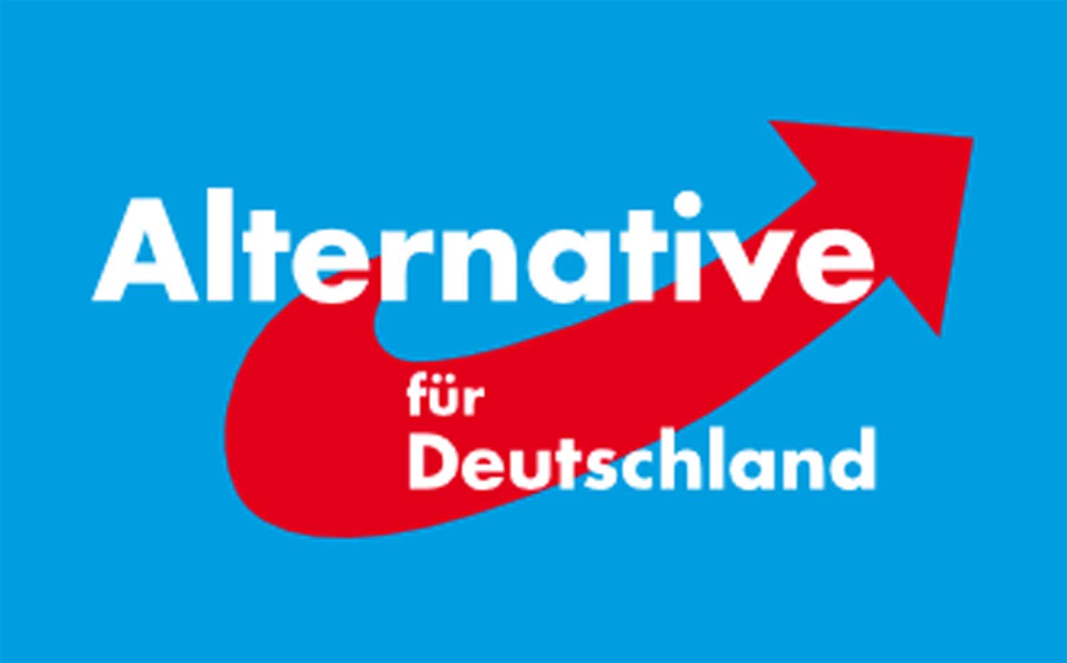 Voorzitter AfD stapt dag na de verkiezingen al op 