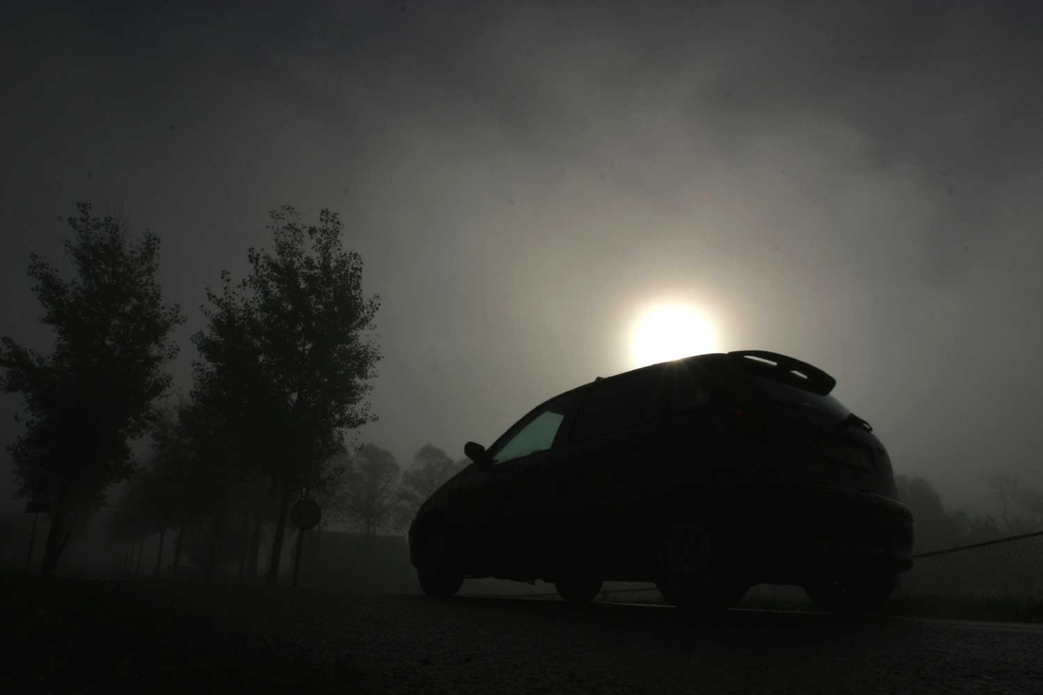 Man (51) overleden na frontale aanrijding met vrachtwagen in Vierhuizen