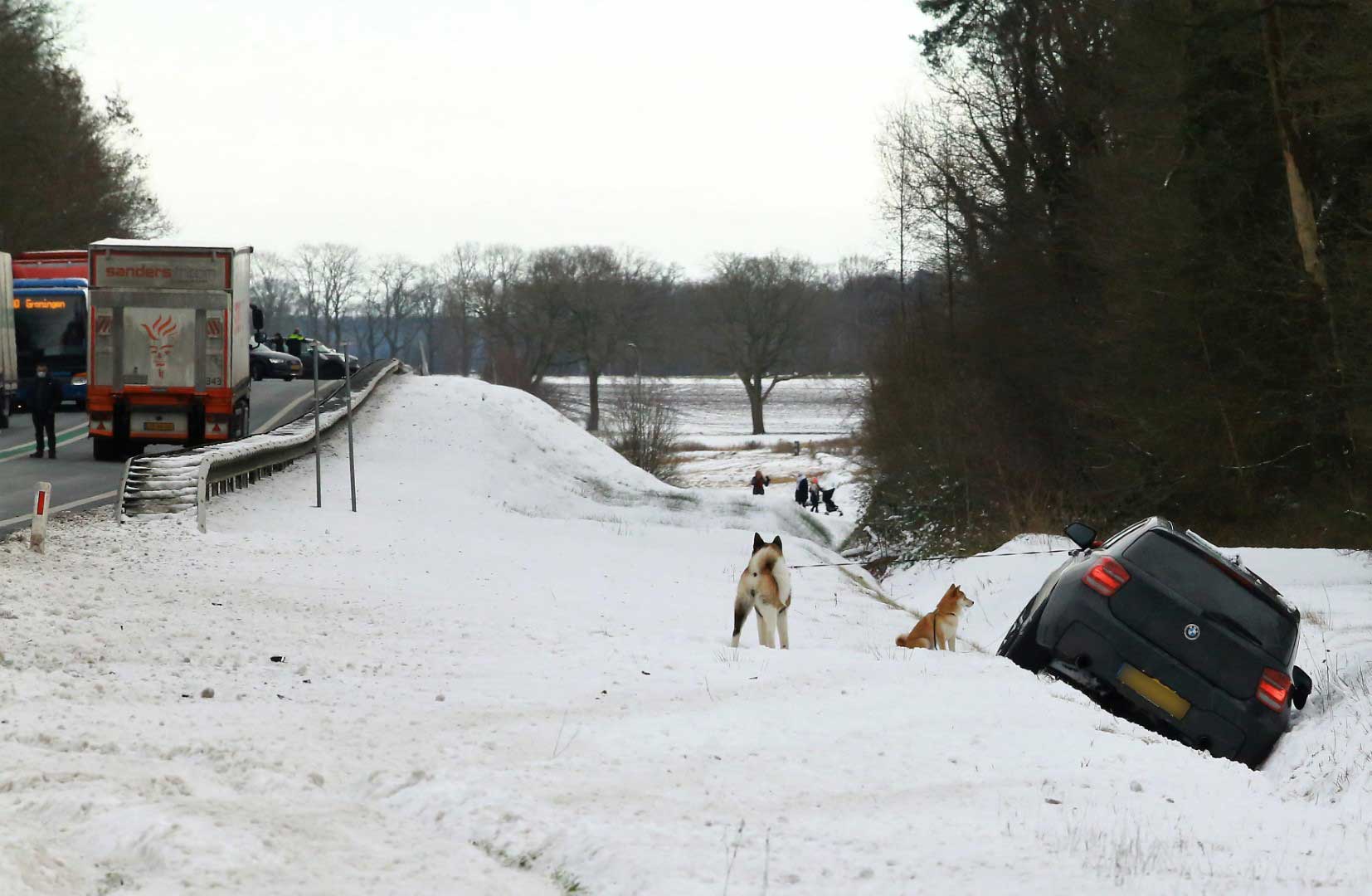 auto-sneeuw-ongeval-honden