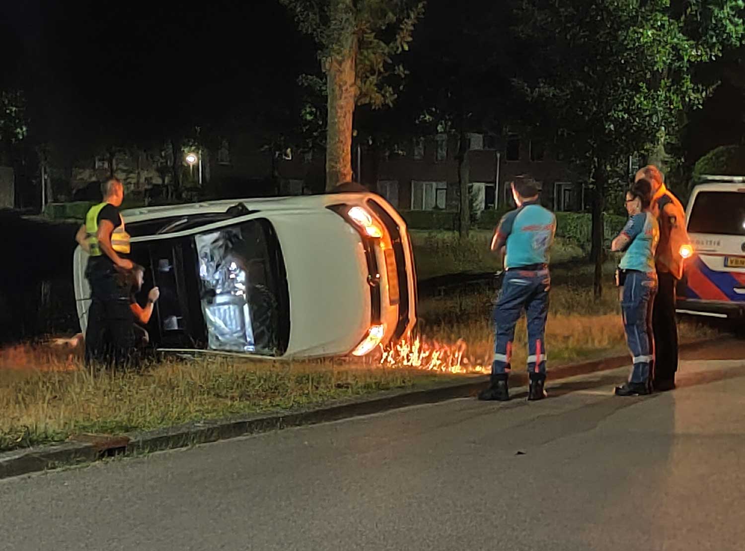 auto-zijkant-boom