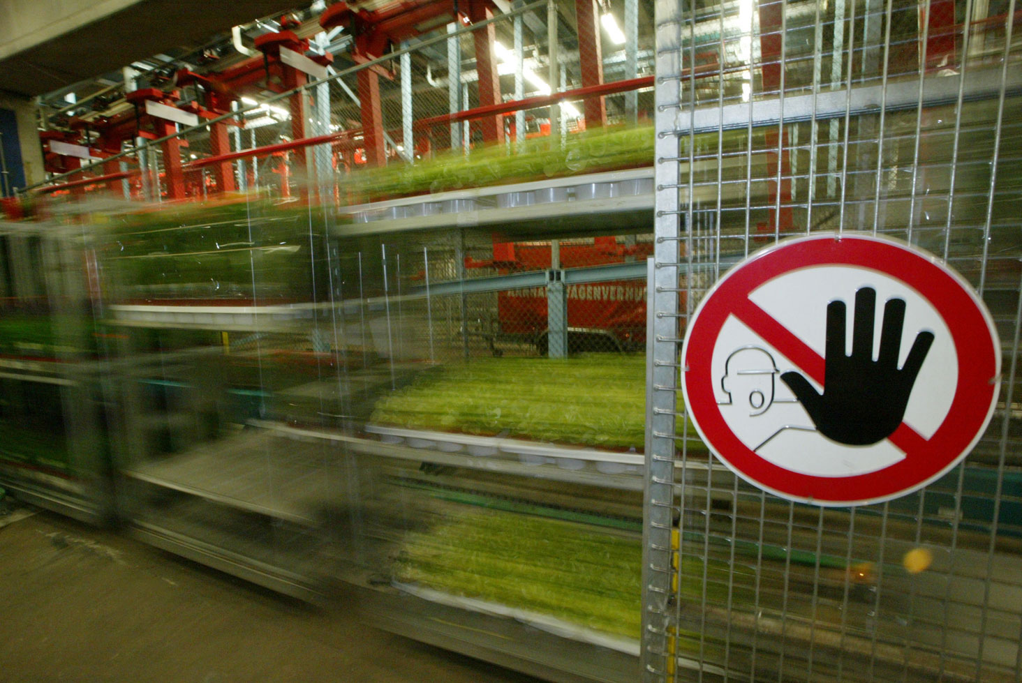 Rusland dreigt met een importstop van alle bloemen uit Nederland 