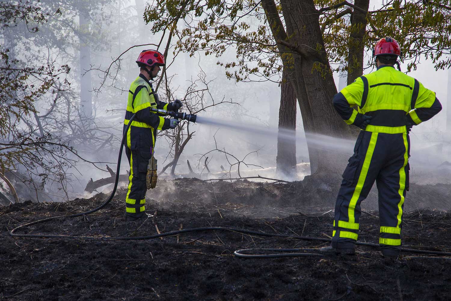 bosbrand-blussen