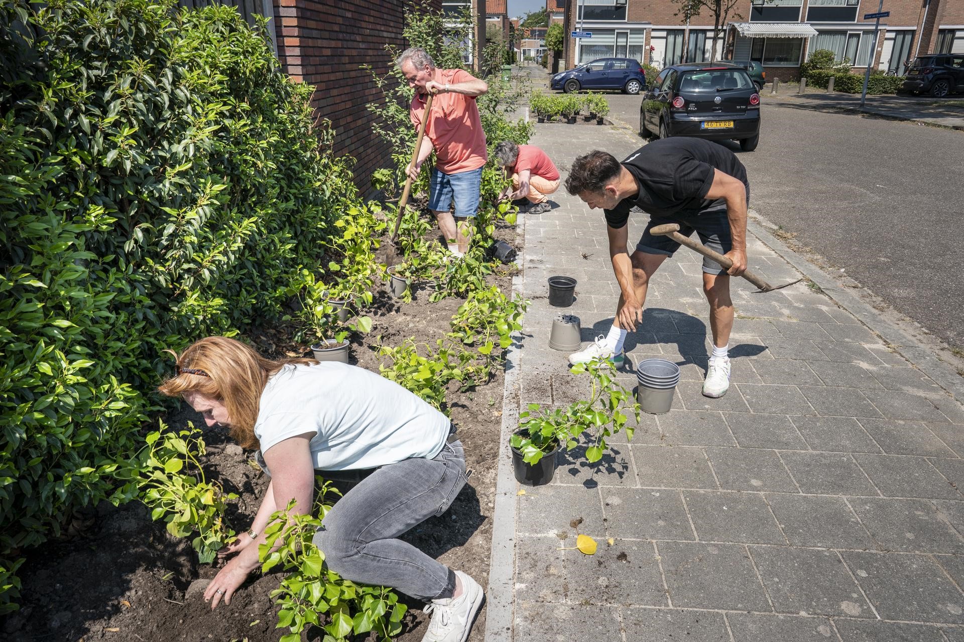 Buren onderhouden groen