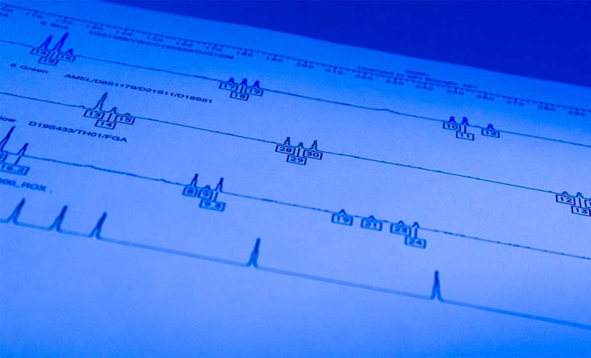 10.000e internationale DNA-match gerapporteerd