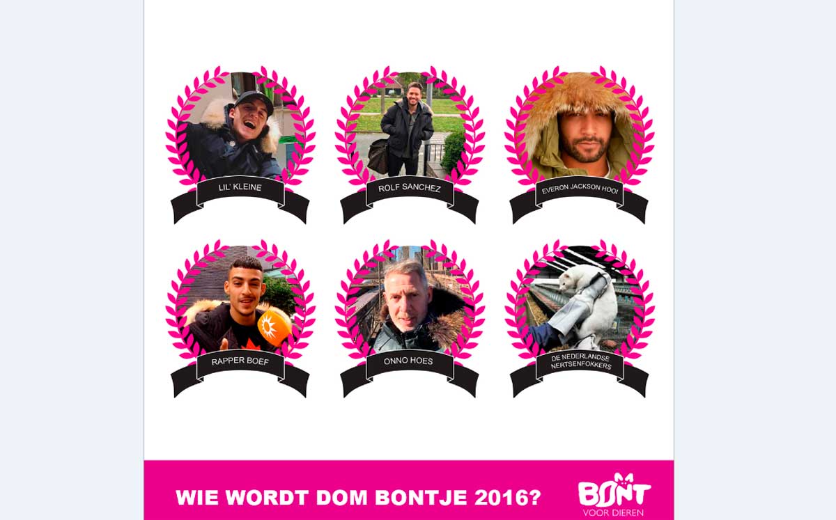 Nominaties Domste Bontje 2016 bekend