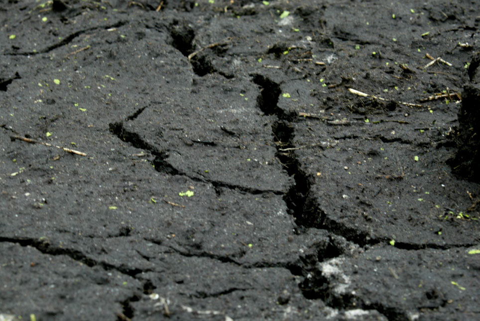 Rode Kruis: Droogte ramp voor Zuidelijk Afrika