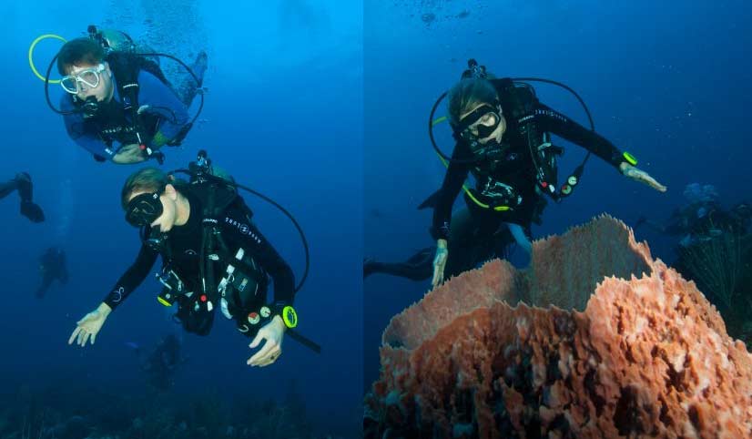 Willem-Alexander en Máxima duiken op Saba naar koraalrif