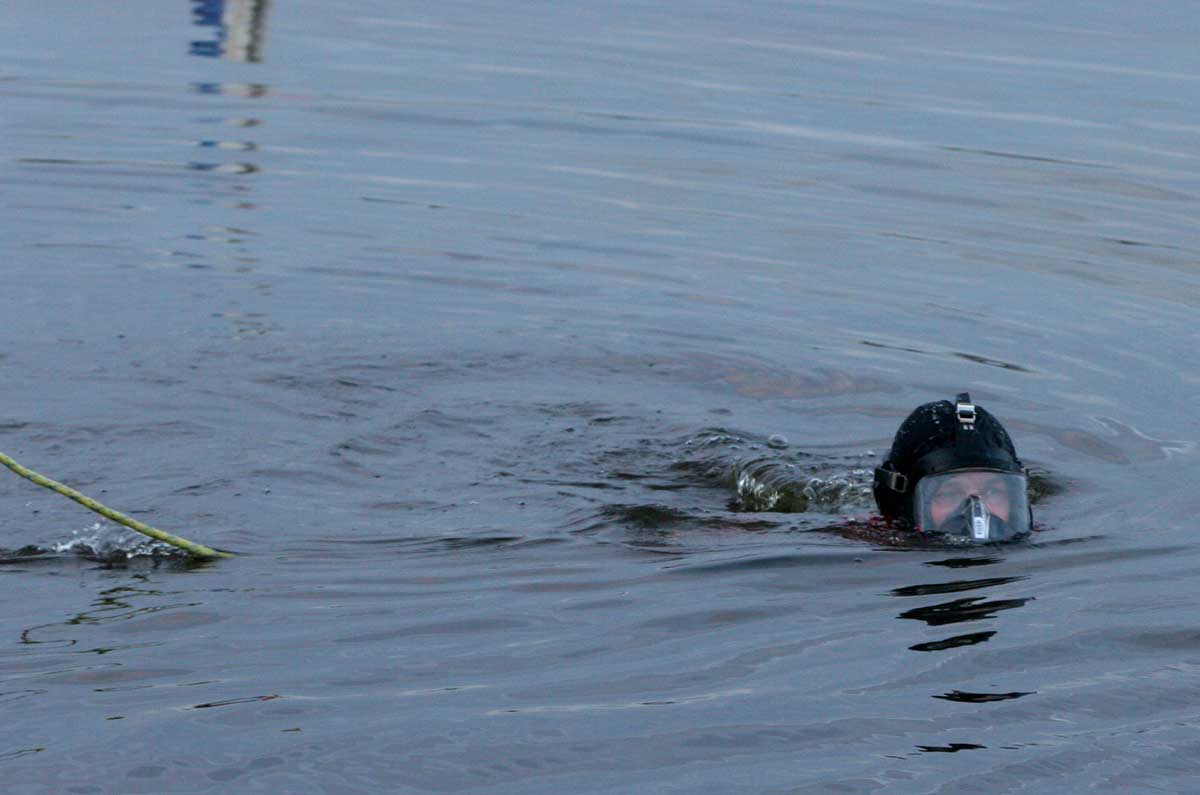 duiker in het water