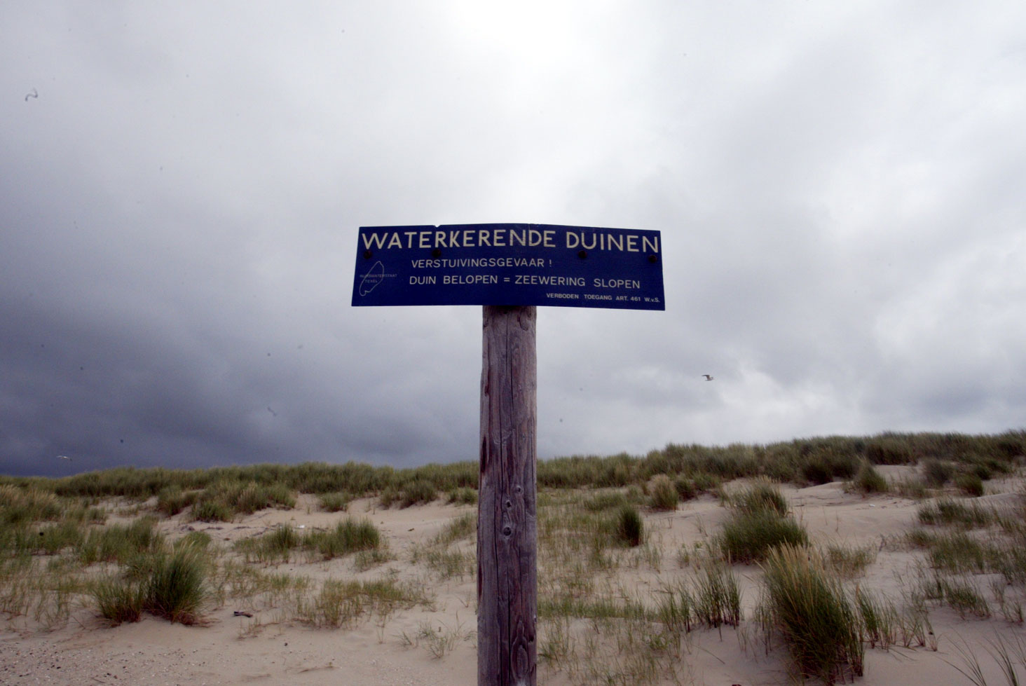 Duinen Waddeneilanden beschadigd door storm