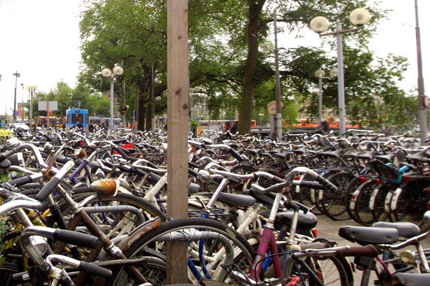 Man (76) in ongelijk gesteld om eis aanpak 'Amsterdamse fietsjungle'