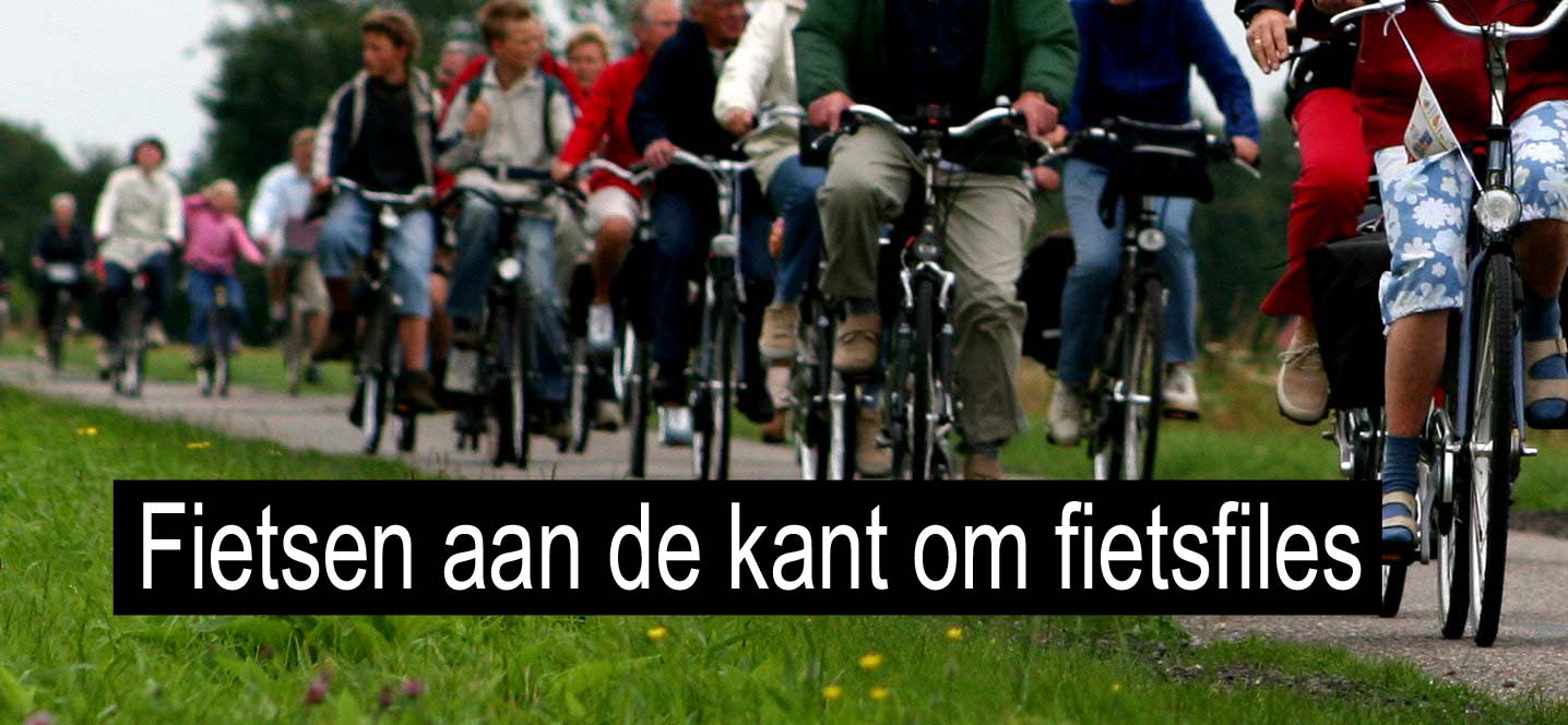 Meer mensen laten fiets staan om fietsfiles