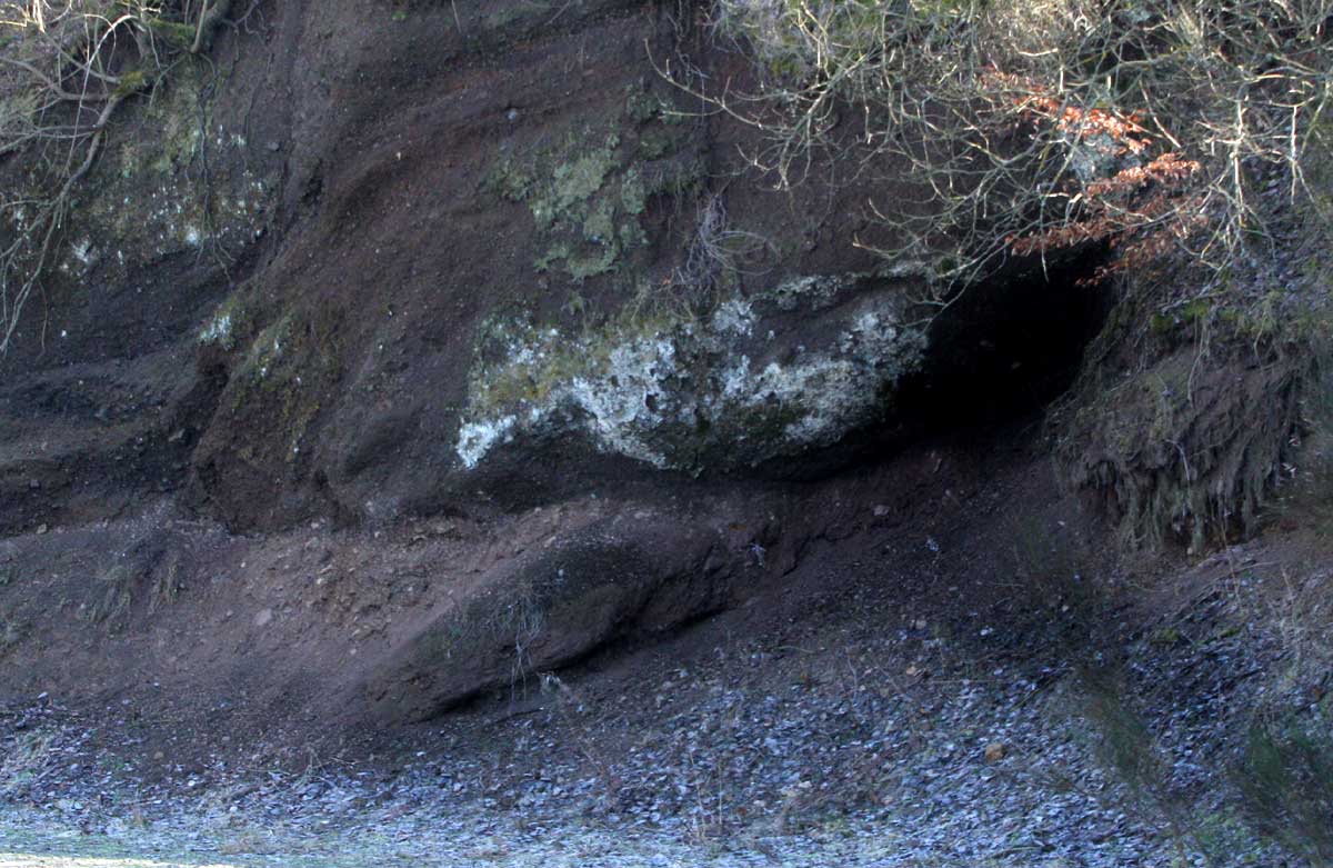 Politie stuit na tip op hennepkwekerij in Valkensburgse grotten