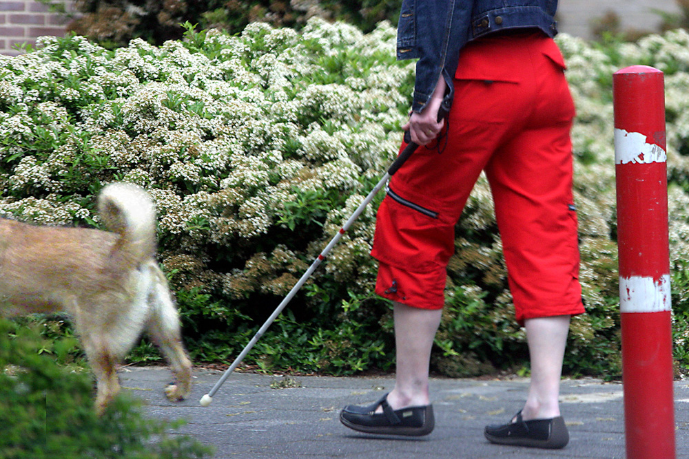 Foto van blinde vrouw met stok en hond | Archief EHF