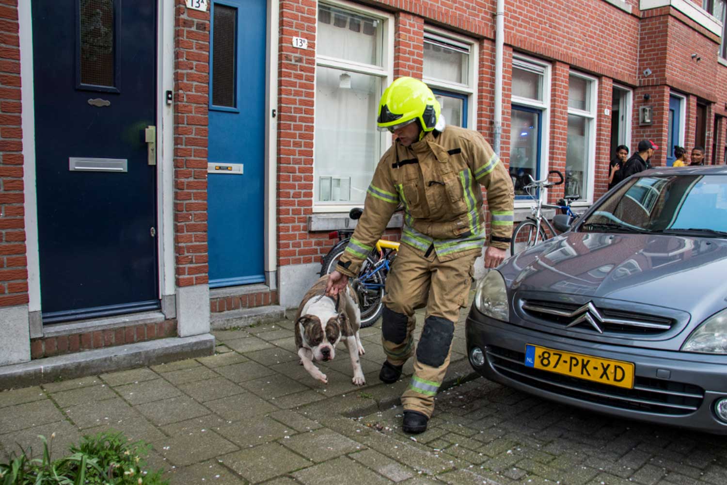 Drie honden gered bij woningbrand Schiedam