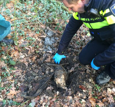 Politie graaft dode hond op na tip