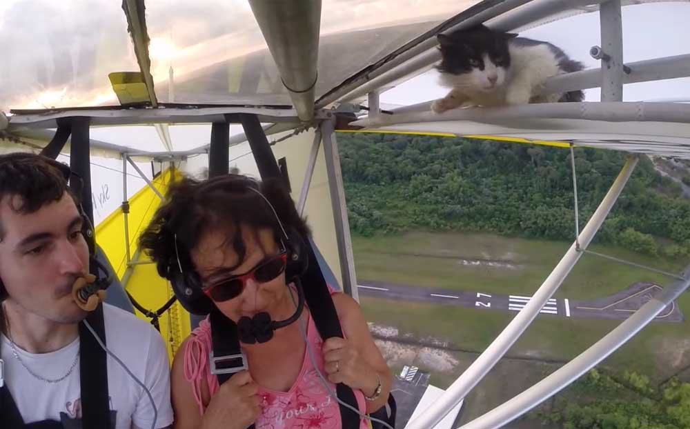 Geen kroegpraat, kat kruipt uit vleugel ultralight vliegtuigje na opstijgen