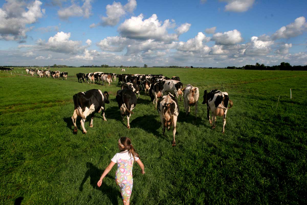 Utrecht stelt 0,45 miljoen euro beschikbaar voor jonge boeren