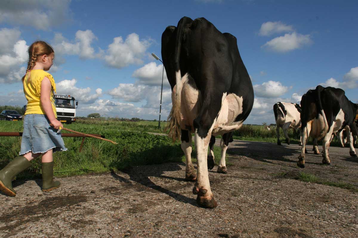 Utrecht stelt 0,45 miljoen euro beschikbaar voor jonge boeren