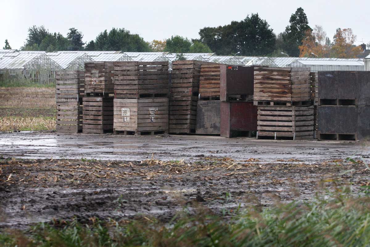 Boeren in door noodweer getroffen zuiden lijden 100 miljoen euro schade