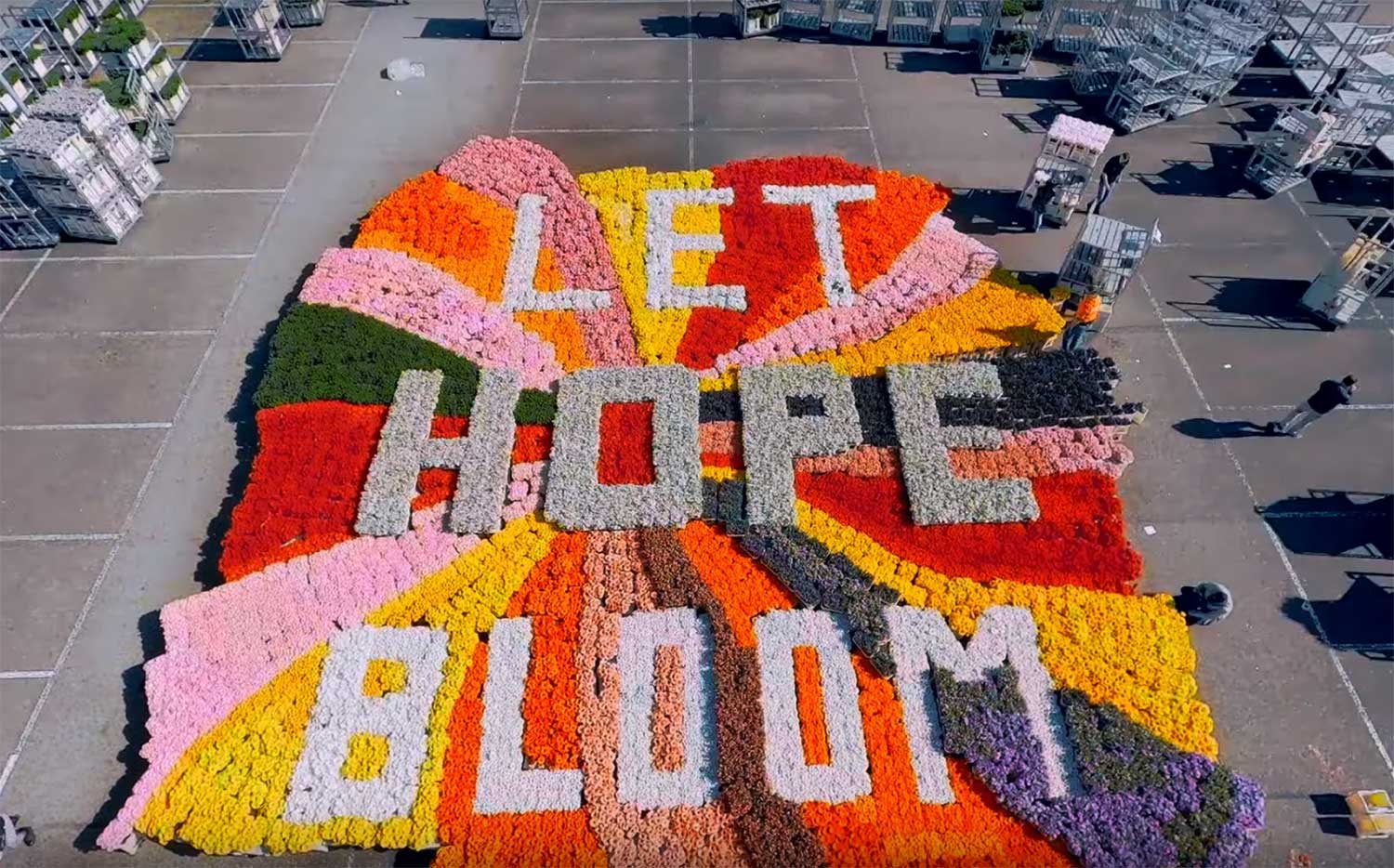 let-hope-bloom