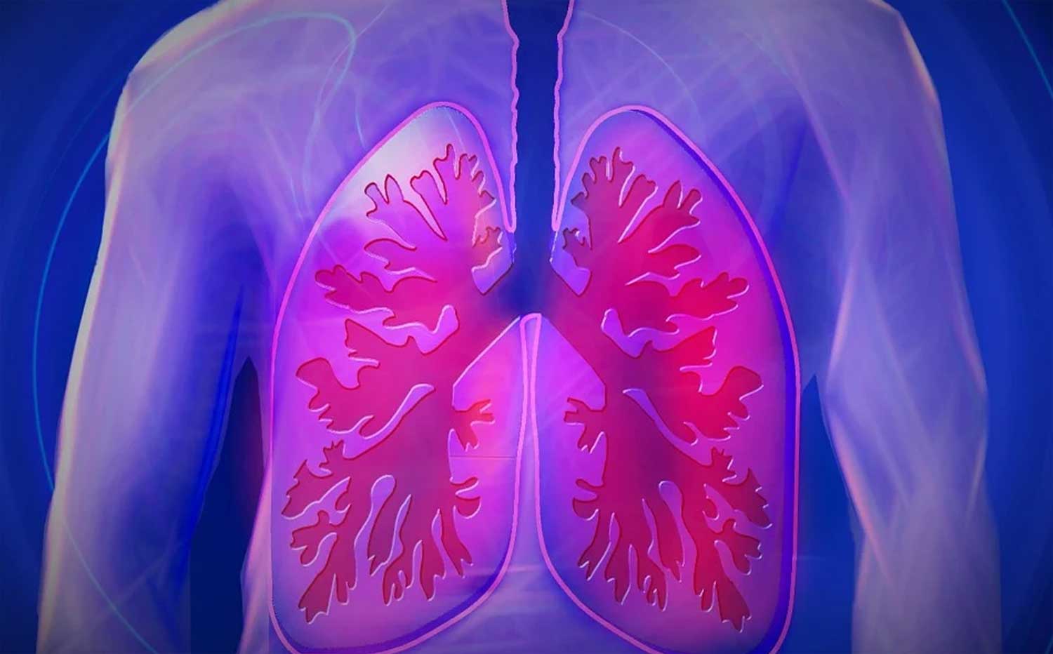 longen-afbeelding