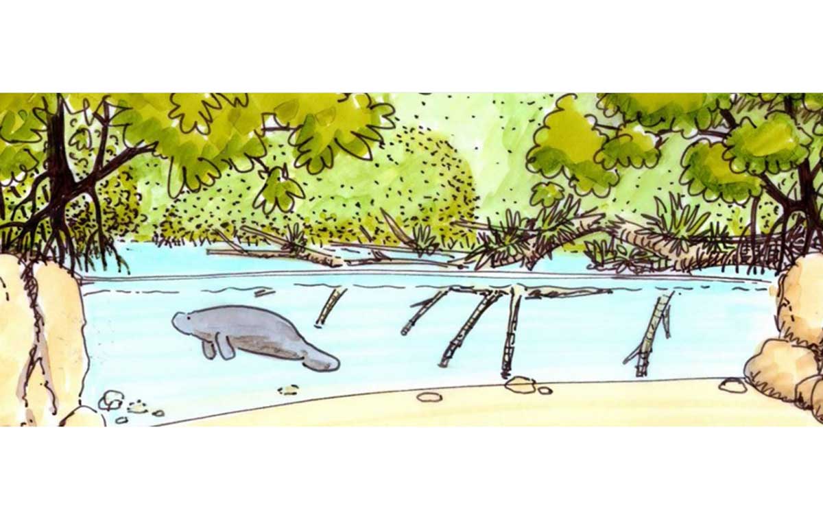 Grootste overdekte mangrove ter wereld komt in Arnhem
