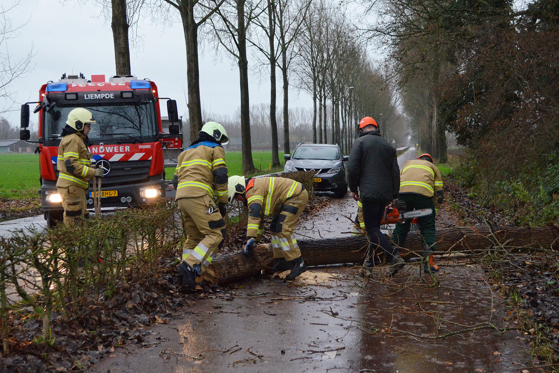 Brandweer maakt omgevallen boom klein