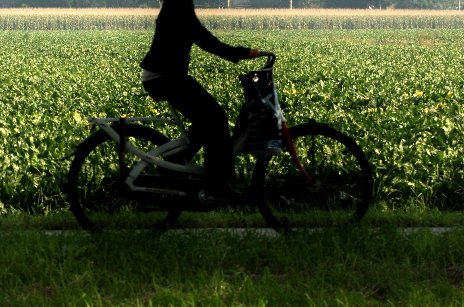 Vrouw op fiets