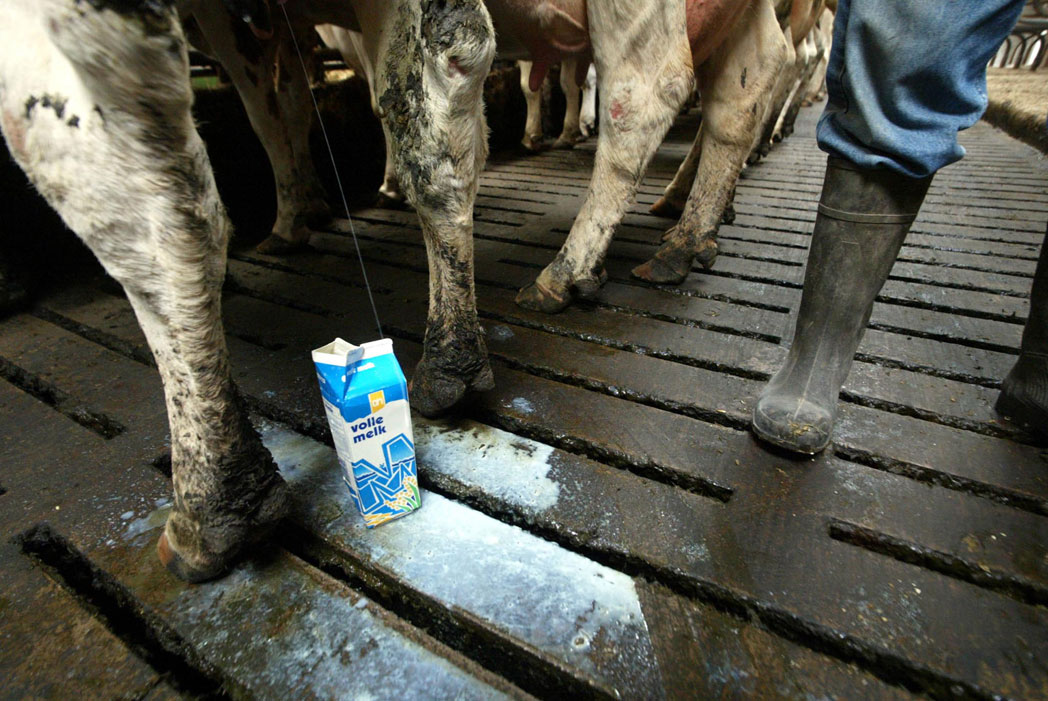Boze melkveehouders komen antwoord Staatssecretaris anders halen