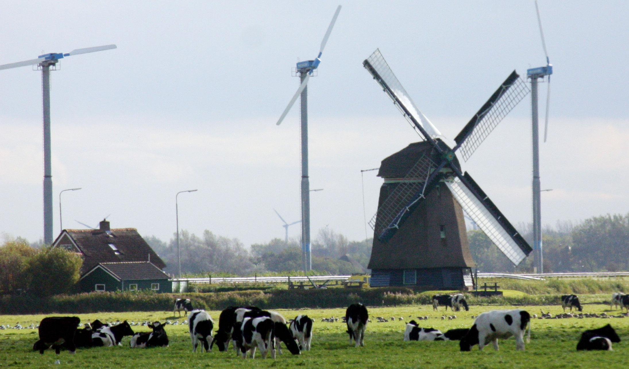 subsidie, huiseigenaren, windmolen