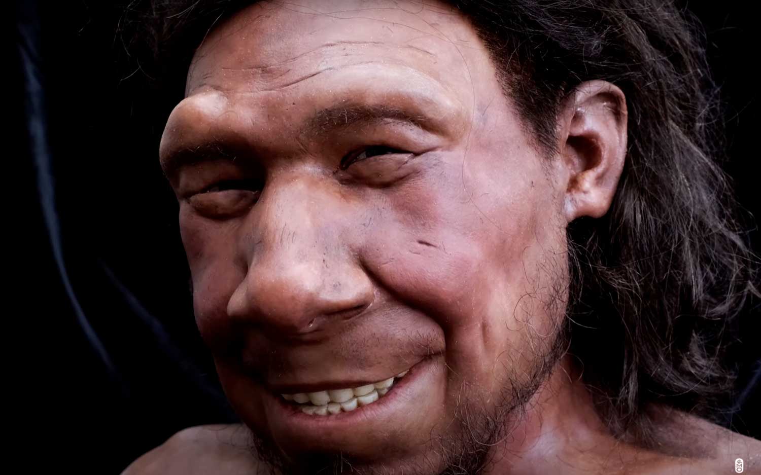 neanderthaler-krijn-reconstructie