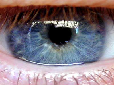 Foto van oog iris pupil wimper | Archief EHF