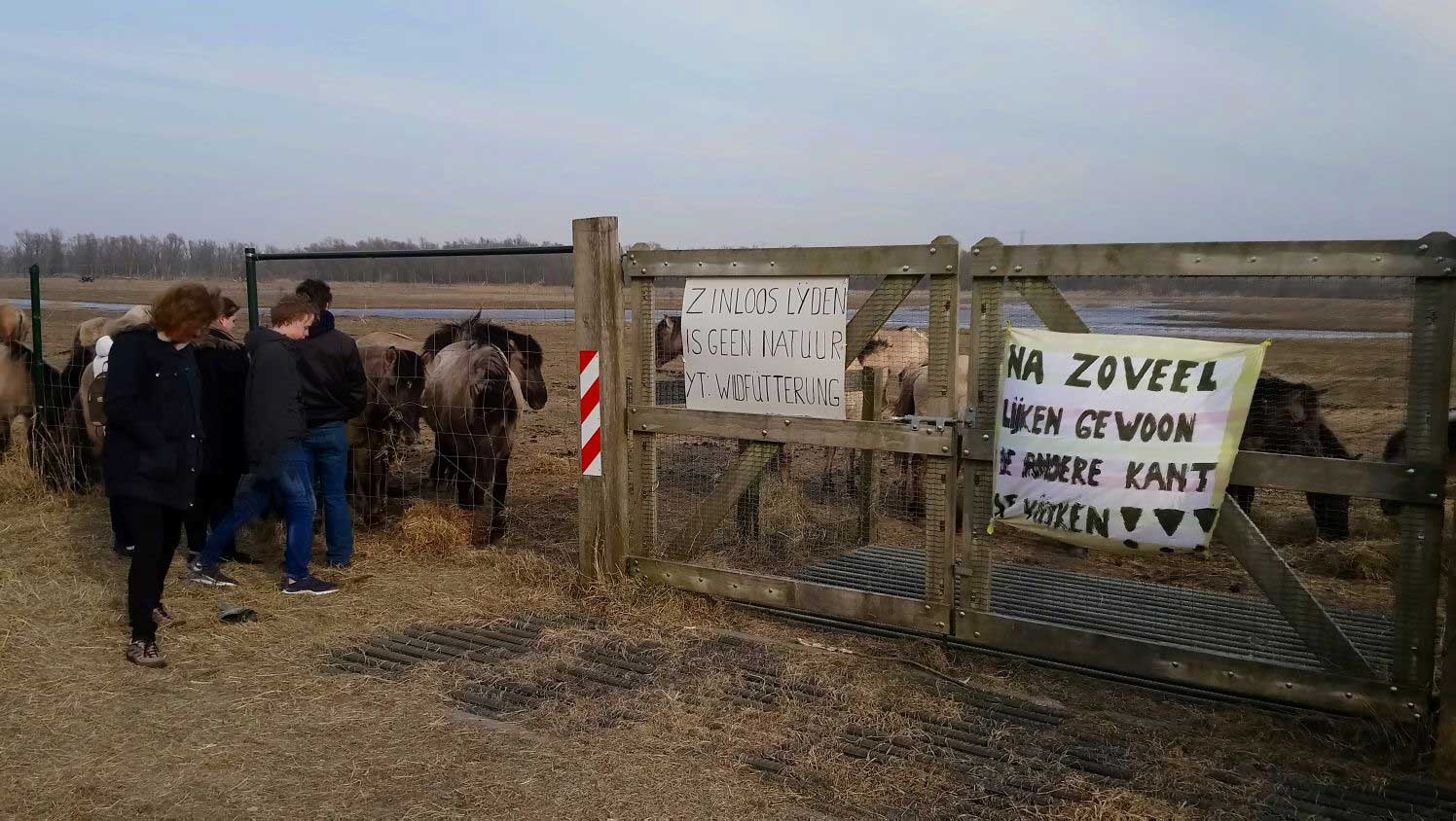 Bijvoeren in Oostvaardersplassen tot eind maart 