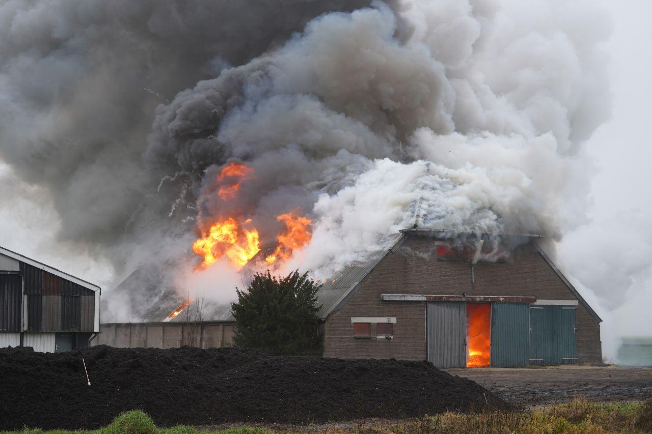 Grote  brand