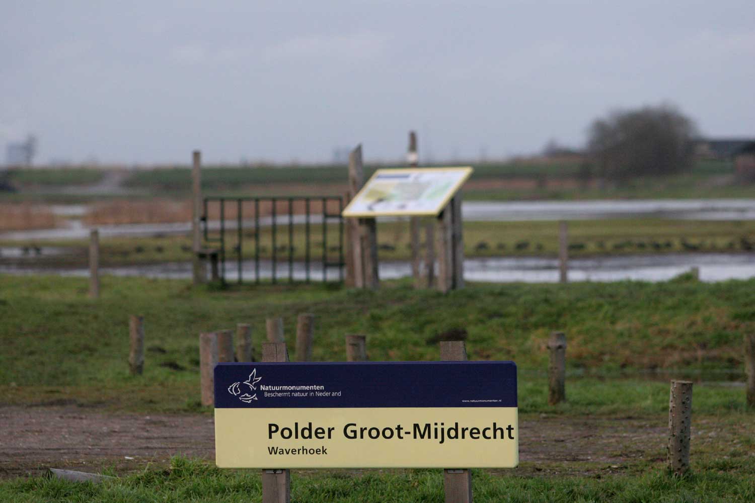 polder-groot-mijdrecht
