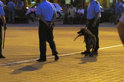 Foto van politie met wapenstok en hond | Archief EHF