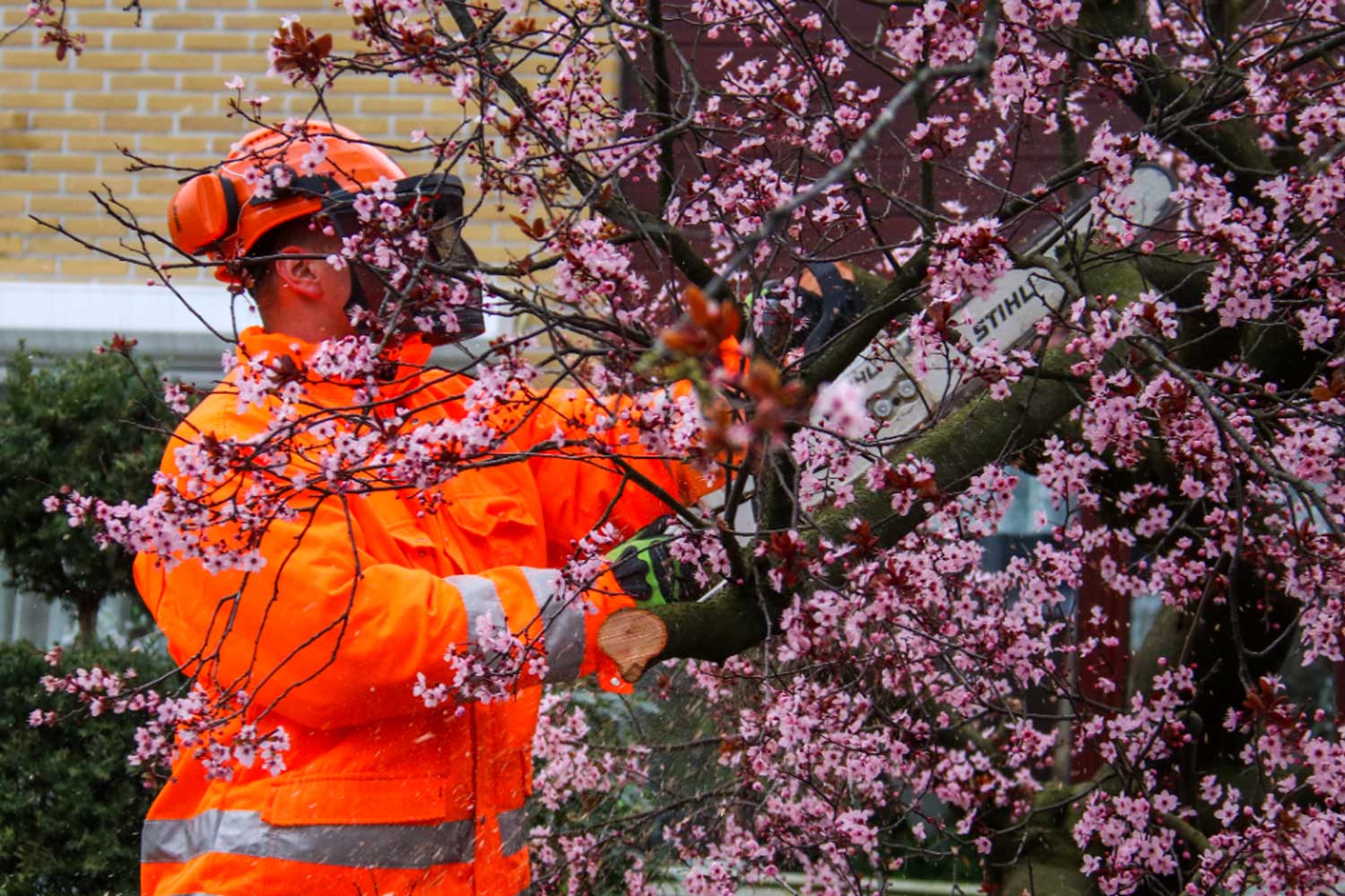 prunus-brandweer-kettingzaag