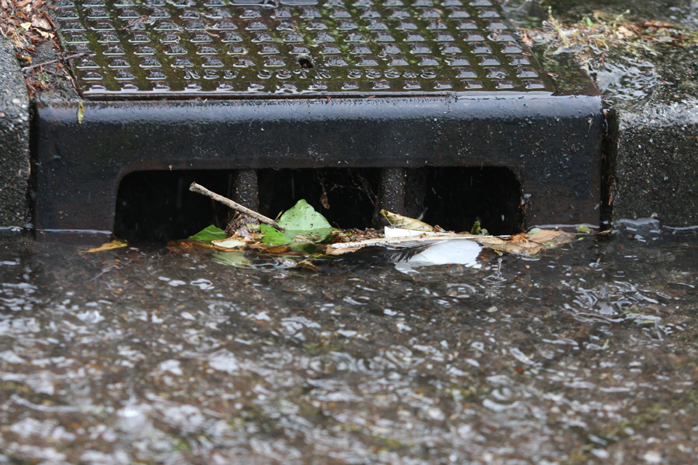 Foto van put regenwater riool | Archief EHF