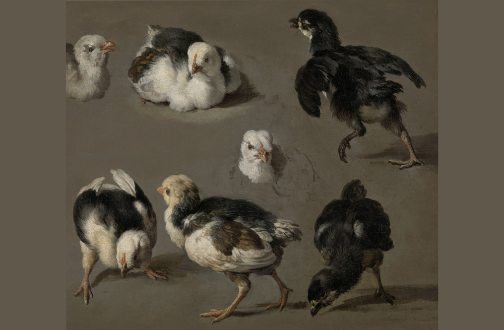 Foto van schilderij 'zeven kuikens' van Melchior D'Hondecoeter | Rijksmuseum