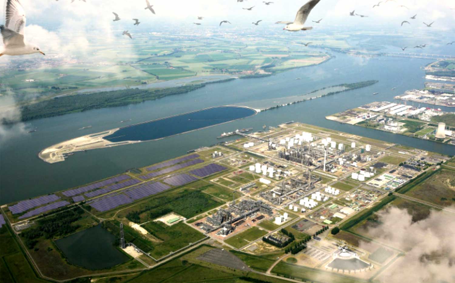 Shell Moerdijk gaat stroom van eigen 50.000 zonnepanelen zelf gebruiken