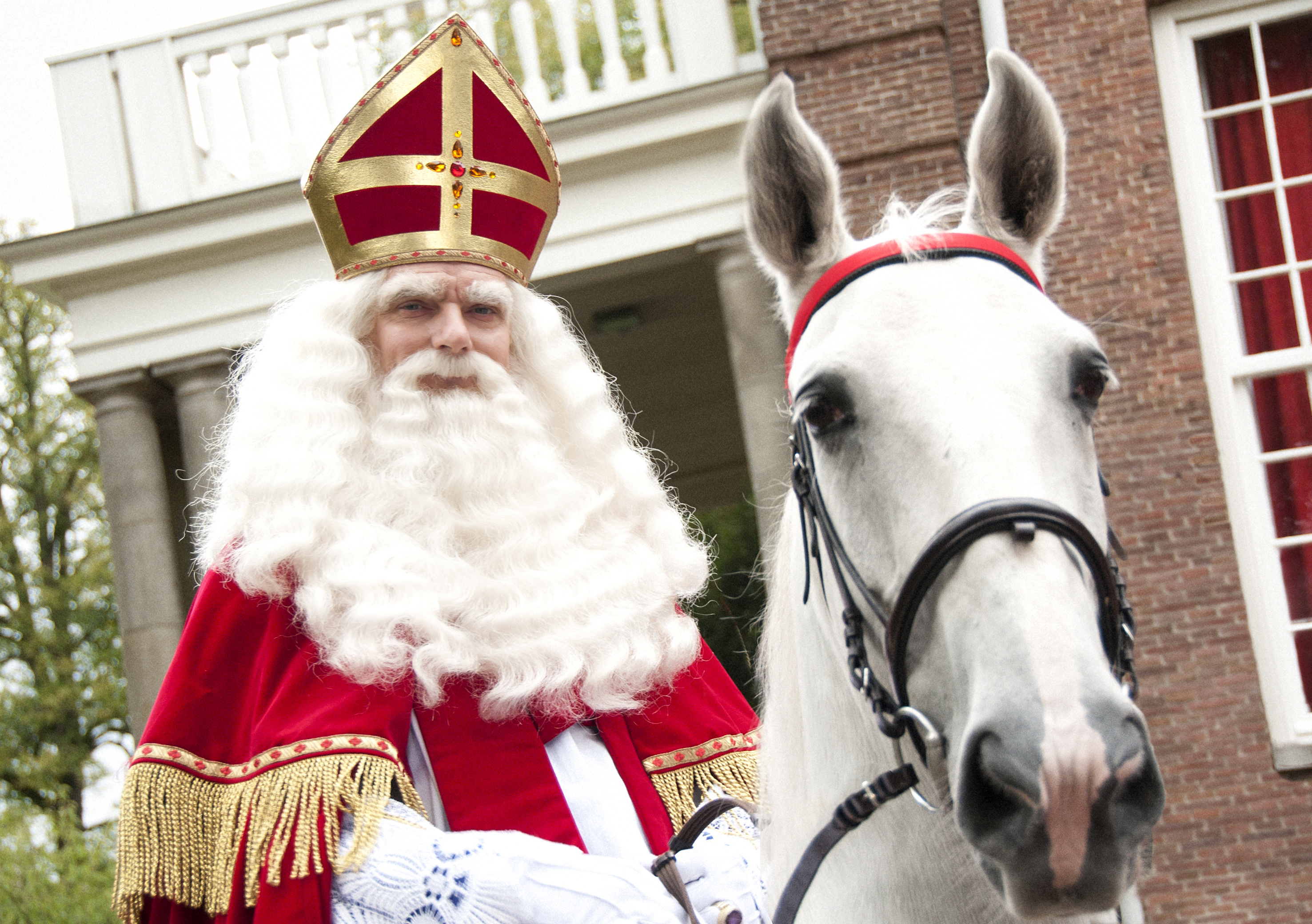 Foto van Sinterklaas op schimmel