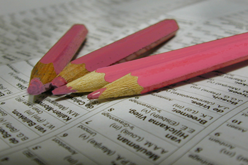 Foto van roze potloden stemmen verkiezingen | Archief EHF