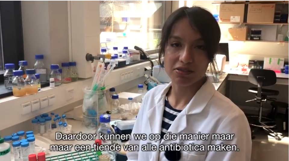 Bacteriën als levende fabriekjes voor de productie van antibiotica