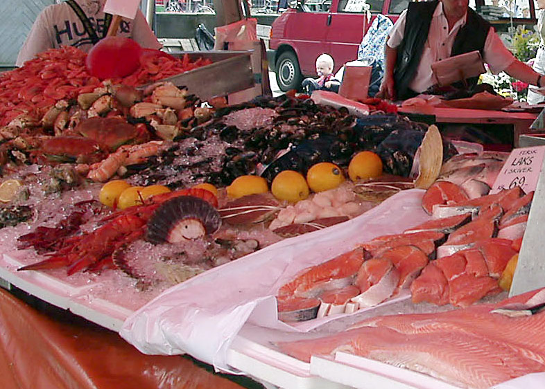 Wakker Dier waarschuwt consumenten voor het eten van kweekvis