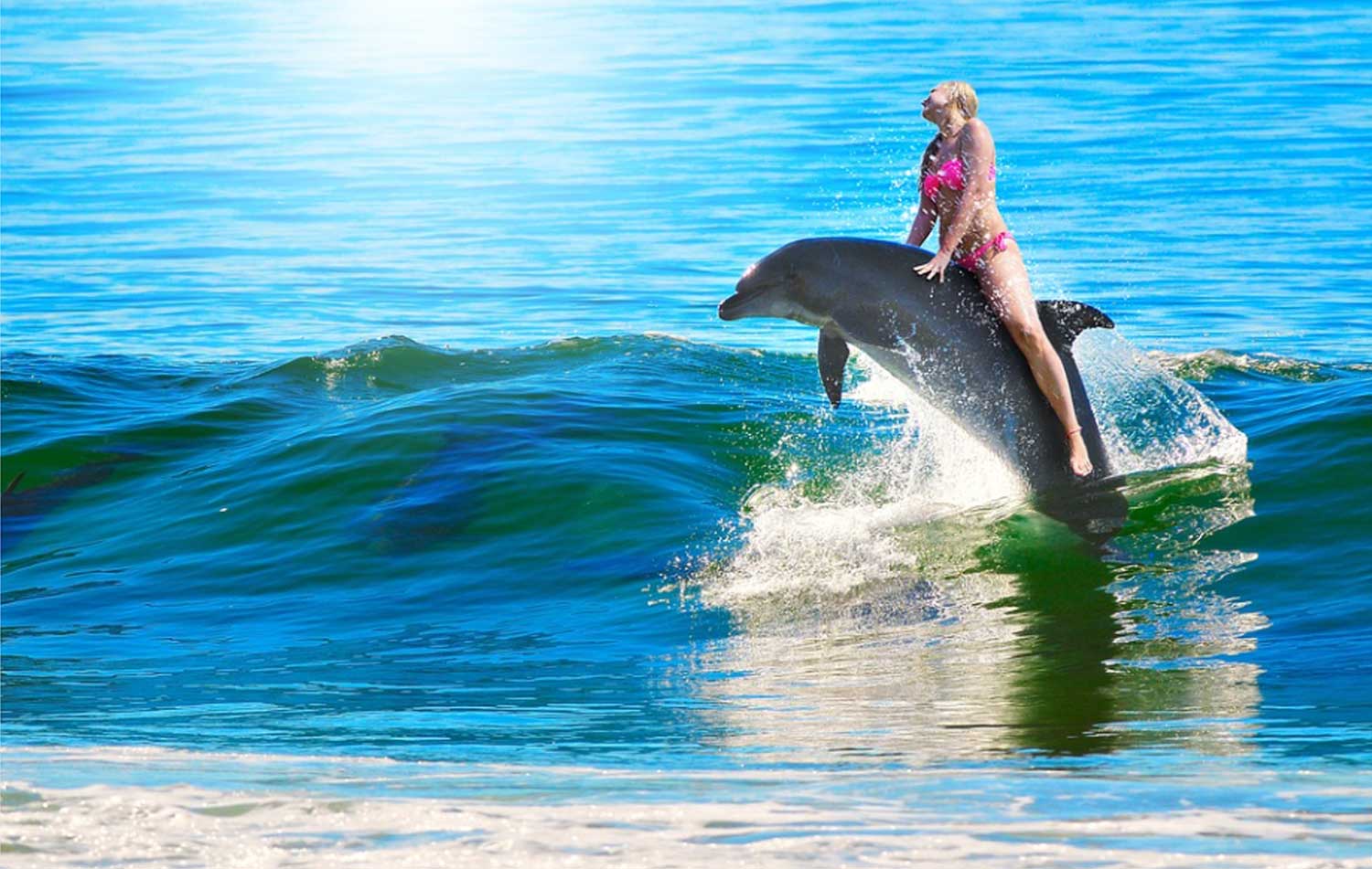 vrouw-dolfijn