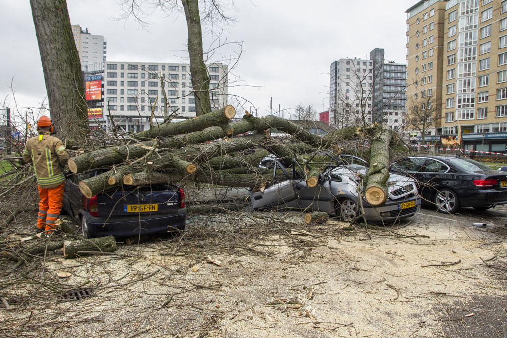 Boom valt door harde wind op geparkeerde auto's